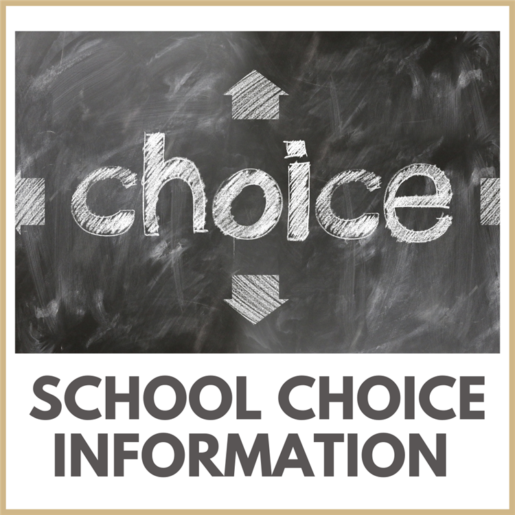 School Choice Information Graphic